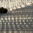 천안농원 이미지