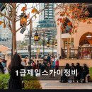 1급그랜드종합정비 | 부천 중장비 자동차정비 1급제일스카이정비 꼼꼼한 점검과 신속 작업이 돋보여요