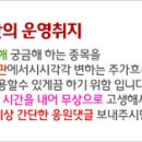 지투알 긍정적으로 바라봐도 좋을것이다 이미지