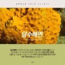 담수담 네이버블로그
