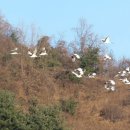 여울 - 강화군 전망대로 268 | 여울