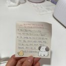 피부홀릭