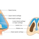 더프리티영의원 이미지