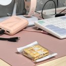 대보실업(주) - 영등포구 | 2025년 3월 1-2주차 컨텐츠 정산(백수일상_#1)