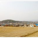 보절면 사촌마을 이미지