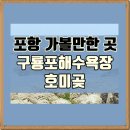 제39호 어린이공원(수운공원서쪽) | 포항 가볼만한 곳 구룡포 해수욕장, 호미곶