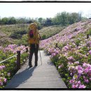 미소화원 이미지