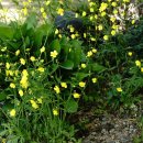 산수화민박 이미지