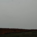 제주올레호텔 이미지