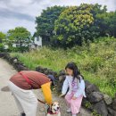 메종드롸루코 이미지