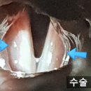 화목종합동물병원 이미지