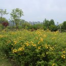 장자호수생태공원 이미지