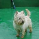 영어의 신 학원 이미지