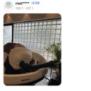 햇츠오프