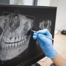 바른웅치과의원 이미지