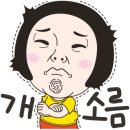 신데렐라헤어 이미지