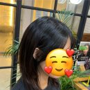 늘보목장 이미지