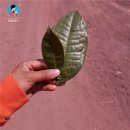 보산기술 이미지