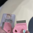 개와당신 이미지