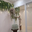 김녕한의원 이미지