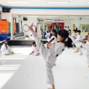 청솔태권도장 이미지