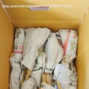 동윤농장 이미지