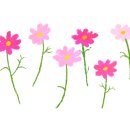 고성 탑 글램핑 농원 이미지