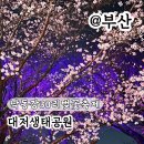 [생태체험] 대저생태공원 - 5월 26일(일) 오전 | 부산 벚꽃 명소 강서 낙동강 30리 벚꽃축제 대저 생태공원주차 일정 실시간