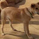 황보농장 이미지