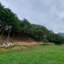 산양마루목장 이미지