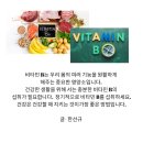 마이바이타민숍