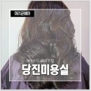 헤어머리꾼 이미지