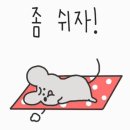 11월15일 오늘의운세 이미지