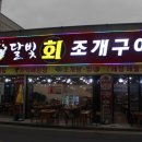 달빛조개 이미지