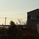 늘푸른농장 1 이미지