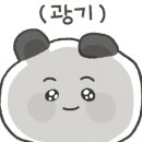 보듬 반려견미용실 이미지