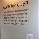 휴먼앤사인