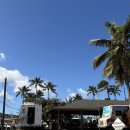 하와이새우트럭 언양점 | 하와이 맛집으로 유명한 지오반니 새우트럭 방문해봤어요! (쿠알로아랜치 근처 맛집 추천)