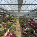 덕산농원 이미지