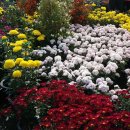 수정4동 주민센터 이미지