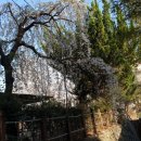 광주공원 어린이 놀이터 이미지