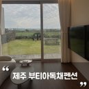 부티아풀빌라 | 제주 동쪽 독채펜션 추천 감성숙소 '부티아독채펜션' 후기