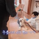 김윤영 농장 네이버블로그