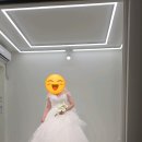 천은사선 | 라벨르엘린 드레스샵 레이스 드레스 A라인 후기 1-4-3
