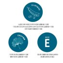 청소년영양제 두뇌건강에 도움되는 맥널티바이오 두뇌엔 PS&amp;징코 플러스