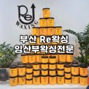 연제구-183 | 부산 브라질리언 왁싱｜연산동 Re왁싱 최저가 전문샵 믿고 맡긴 솔직 후기