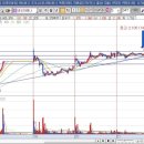 네오캣 스튜디오 이미지