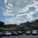 일순목장 | 구례 ㅣ 꽃구경 당일치기 여행 1탄 ㅣ 인스타 핫플 노란 수선화 꽃구경 가기 좋은 &#34;지리산 치즈랜드...