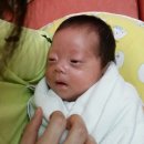 내품에햇살 이미지