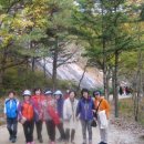 고운미소약국 이미지